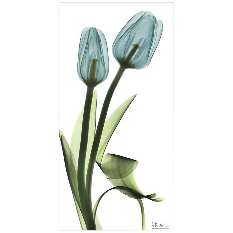 Image 2 Blue Tulips 48 inchH Floating Tempered Glass Graphic Wall Art
