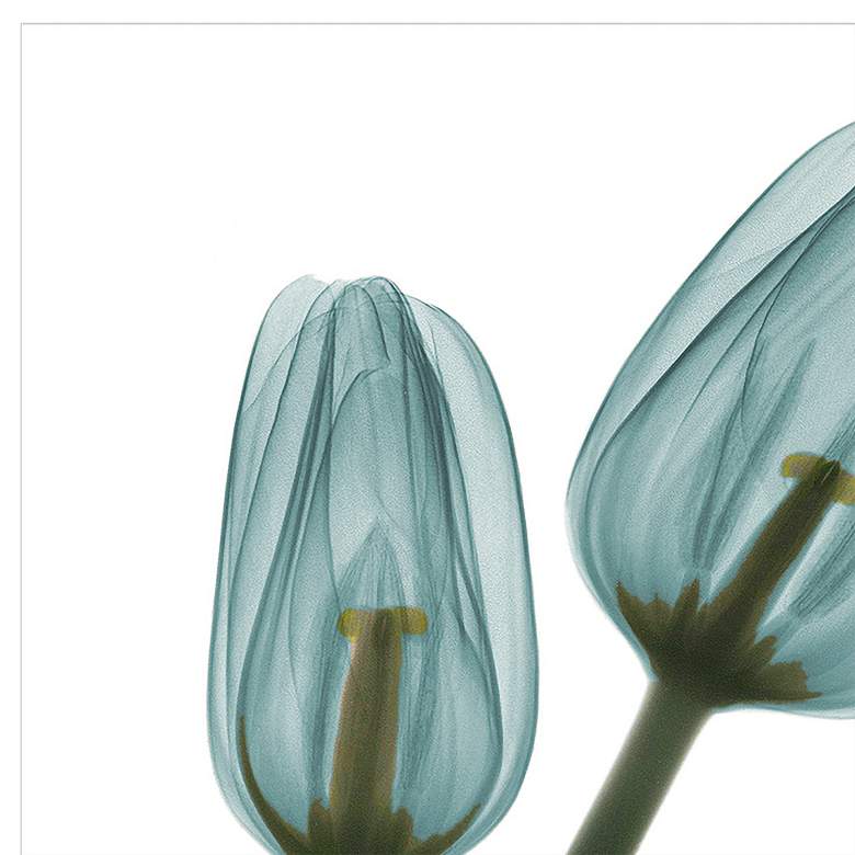 Image 3 Blue Tulips 48 inchH Floating Tempered Glass Graphic Wall Art more views