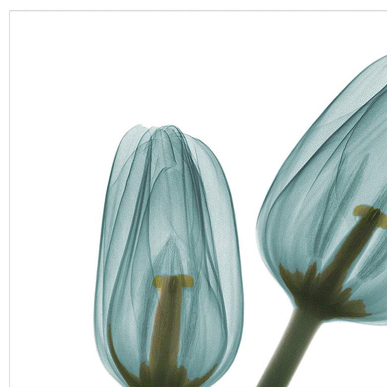 Image 3 Blue Tulips 48"H Floating Tempered Glass Graphic Wall Art more views