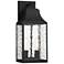 Blueberry Trail 2-Light 19.5" High Black Outdoor Wall Light