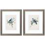 Bluebird Happy 9"W x 11"H Framed Art Set of 2