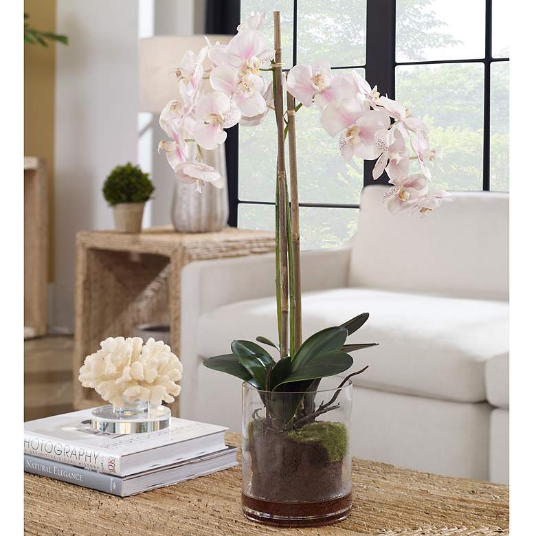 Image 1 Blush 34-in High Pink Orchid