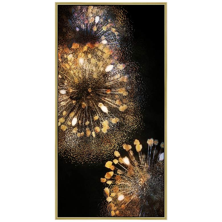 Image 1 Bold Burst 2 24by 48 In. Framed Art