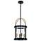 Bonita 13" Wide 4-Light Black Pendant With Clear Glass Shade