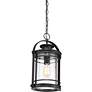 5_Booker 17.8" High Black and Seeded Glass Outdoor Hanging Lantern more views