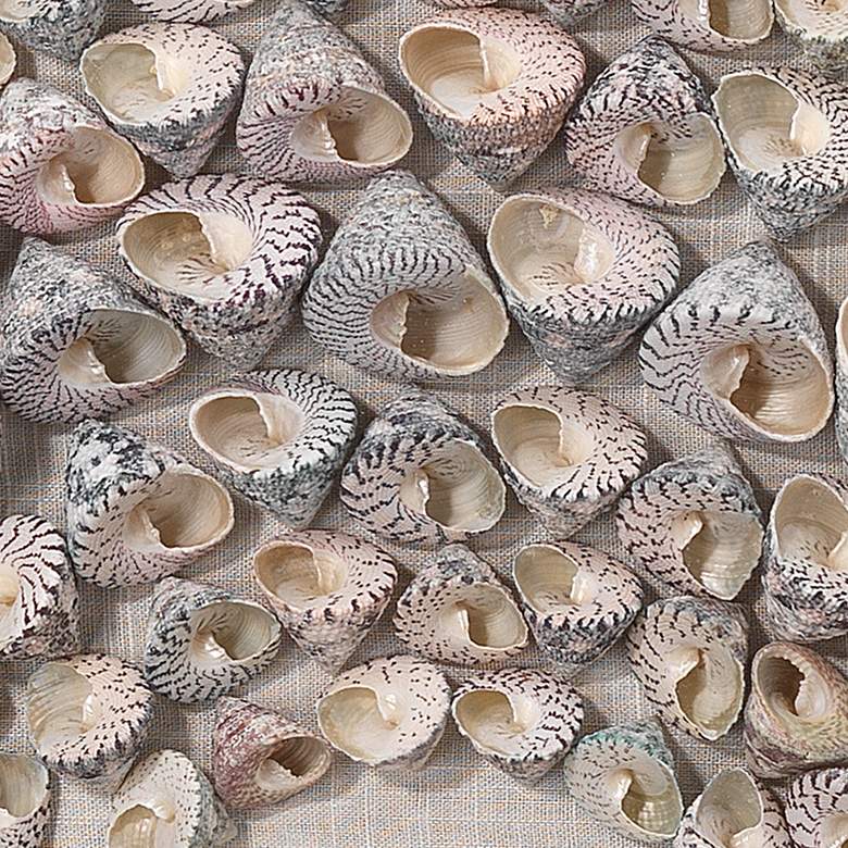 Image 3 Bora Bora Taupe Snail Shells 23 3/4" Square Framed Wall Art more views