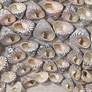 Bora Bora Taupe Snail Shells 23 3/4" Square Framed Wall Art
