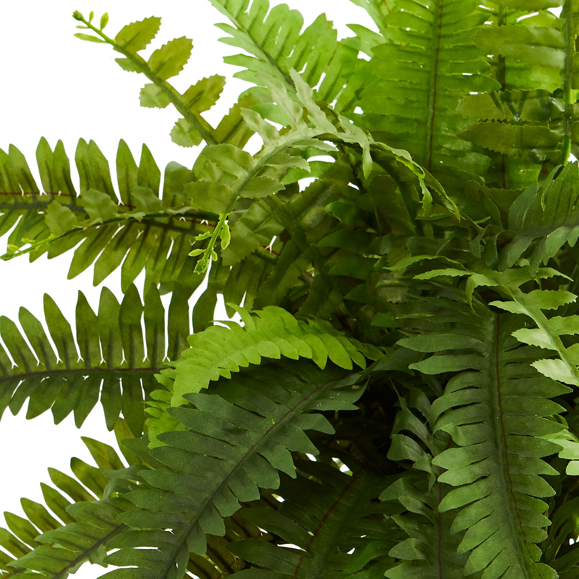 Image 2 Boston Fern Artificial Plant in Decorative Planter more views