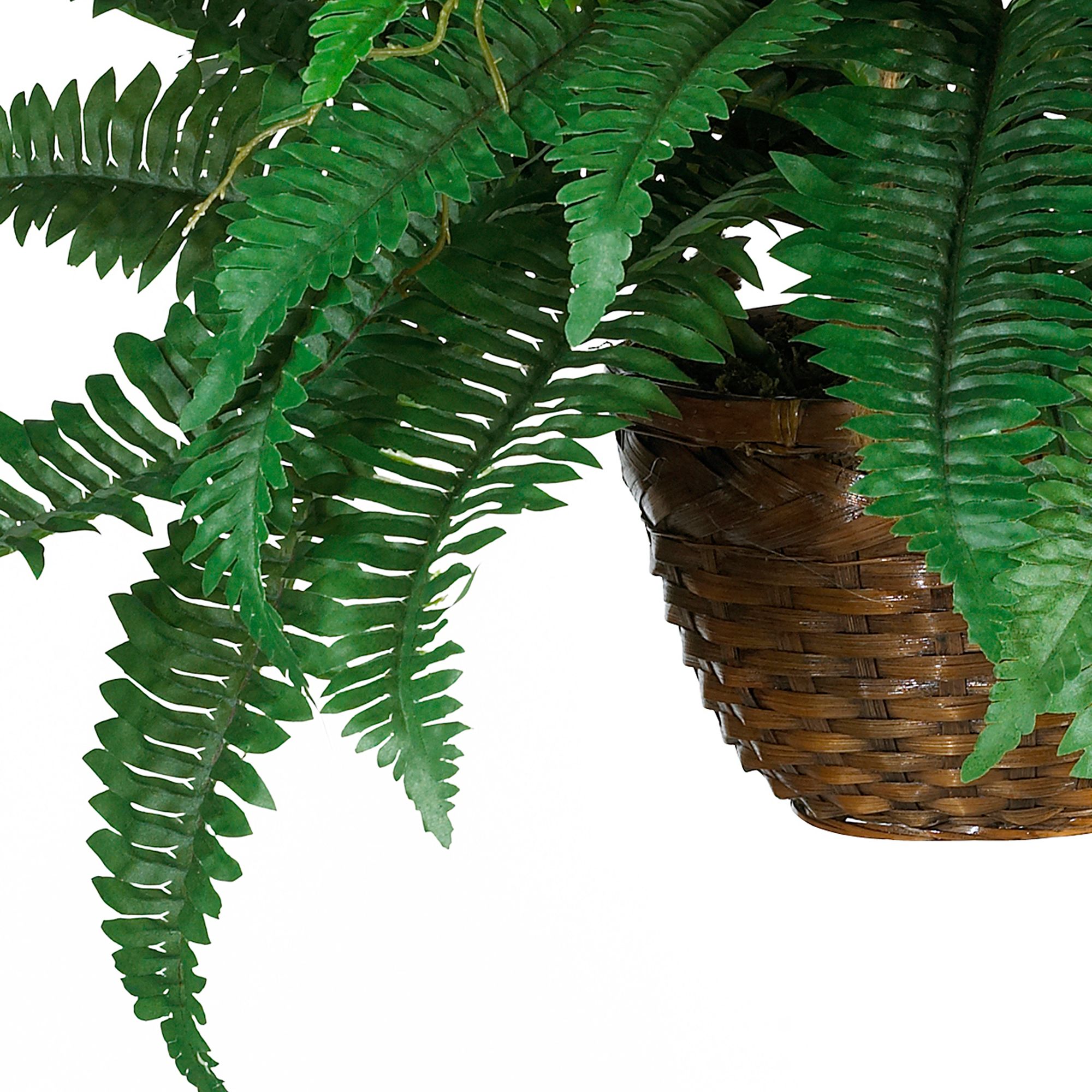 Image 2 Boston Fern Silk Hanging Basket more views