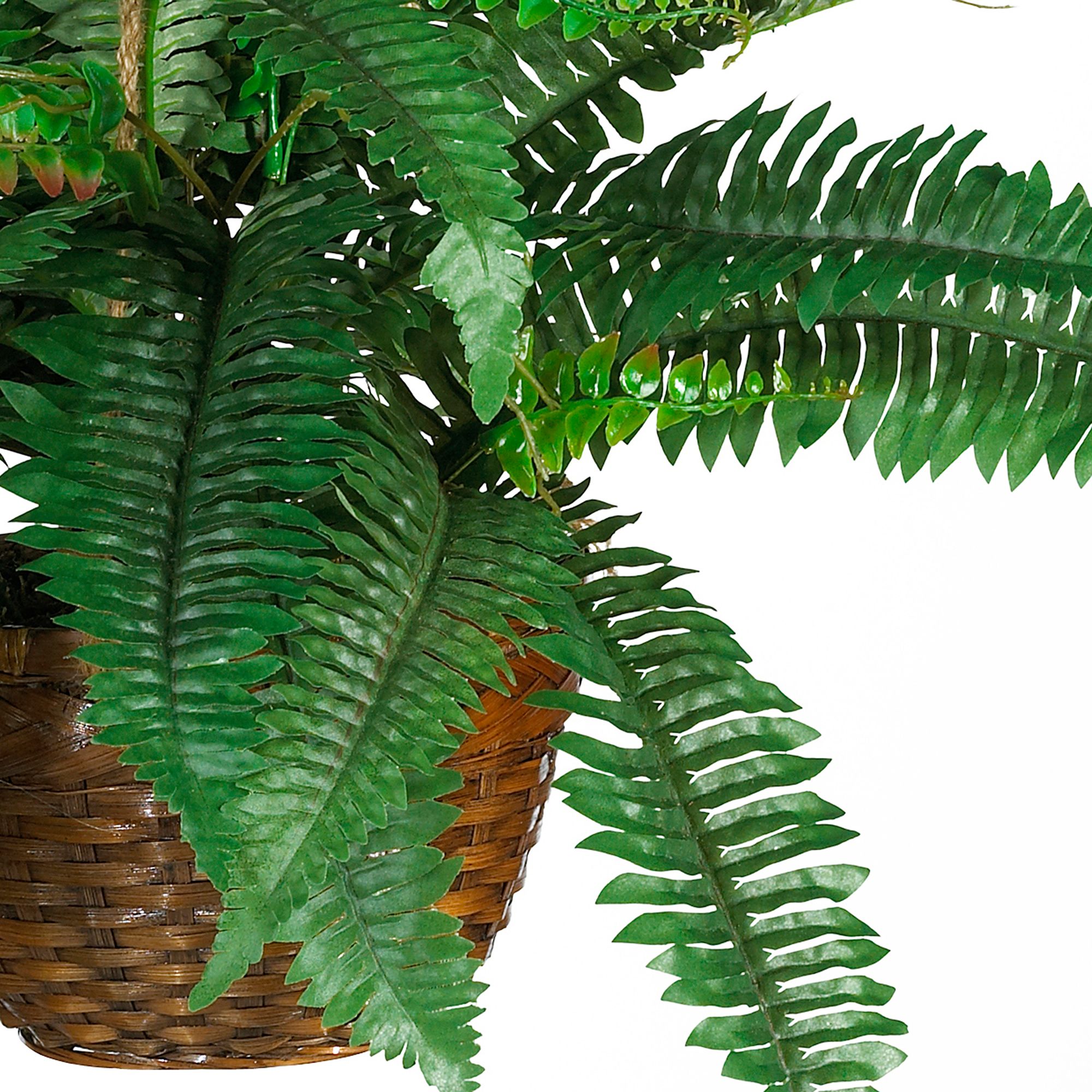 Image 3 Boston Fern Silk Hanging Basket more views