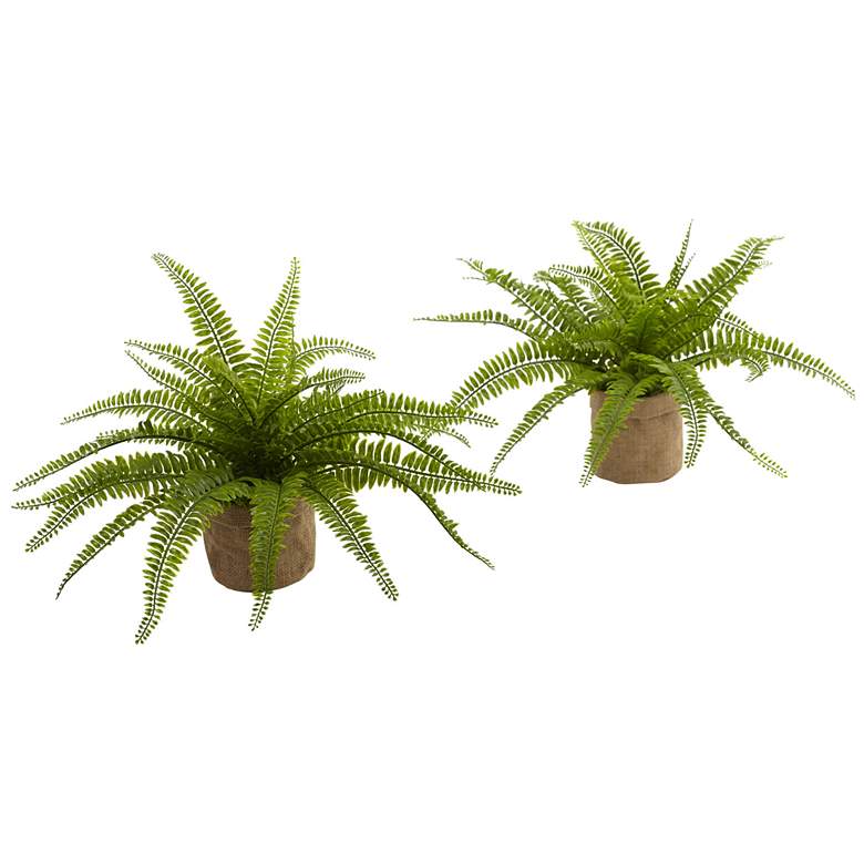 Image 1 Boston Fern with Burlap Planter (Set of 2)