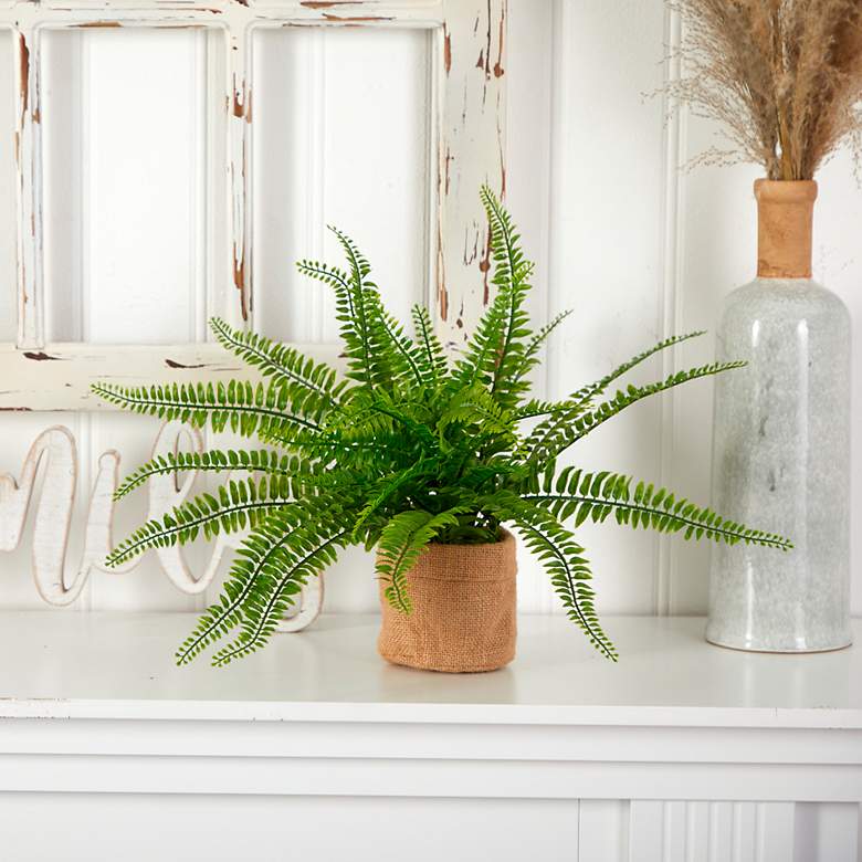 Image 1 Boston Fern with Burlap Planter (Set of 2)