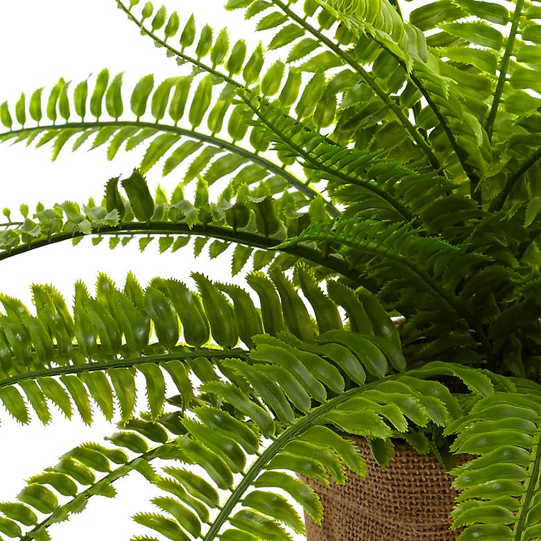 Image 3 Boston Fern with Burlap Planter (Set of 2) more views