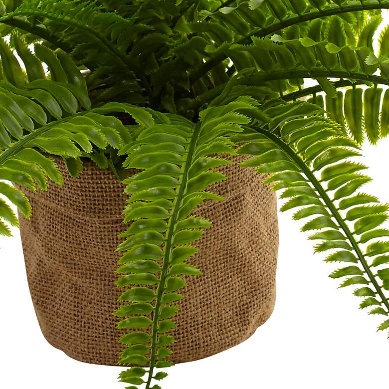 Image 4 Boston Fern with Burlap Planter (Set of 2) more views