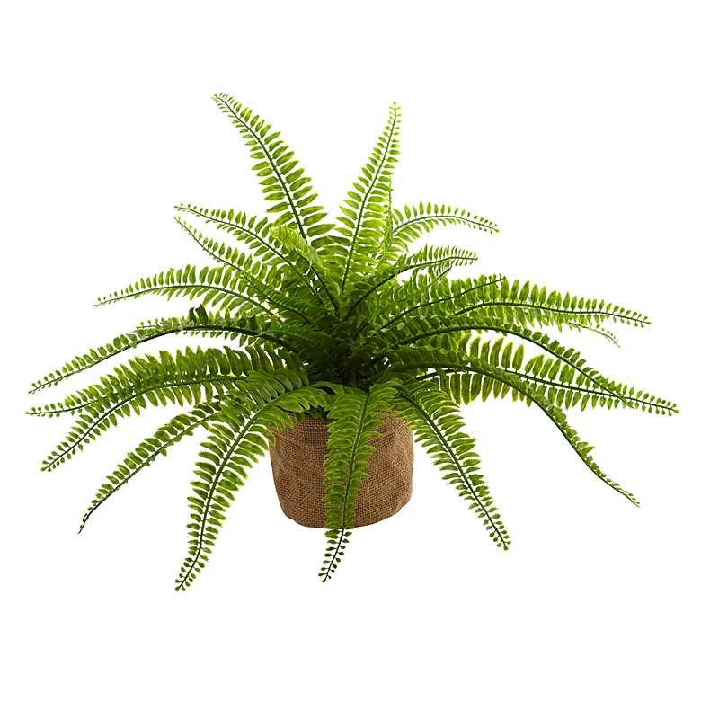 Image 5 Boston Fern with Burlap Planter (Set of 2) more views