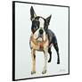 Boston Terrier 1 and 2 24" Square 2-Piece Wall Art Set