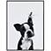 Boston Terrier 24"x18" Printed Glass Framed Wall Art