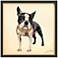 Boston Terrier 25" High Dimensional Collage Framed Wall Art