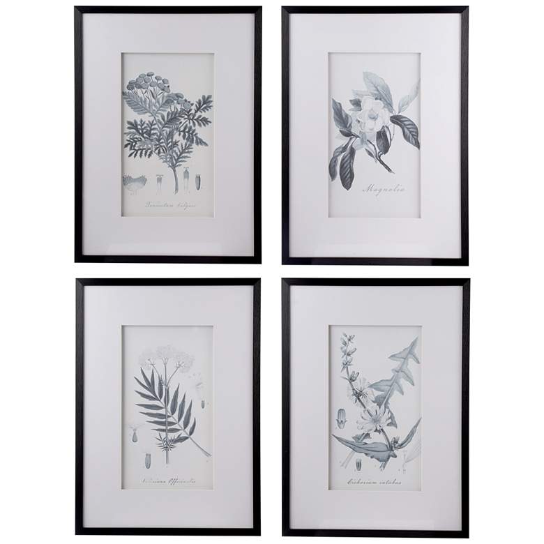 Image 1 Botanical 27 3/4"H Black 4-Piece Pencil Framed Wall Art Set