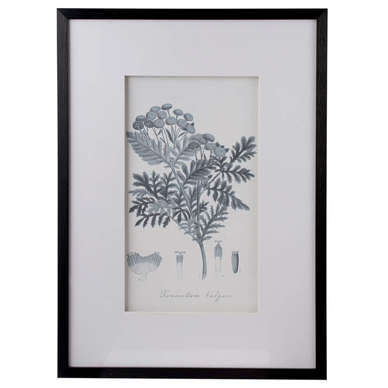 Image 2 Botanical 27 3/4 inchH Black 4-Piece Pencil Framed Wall Art Set more views