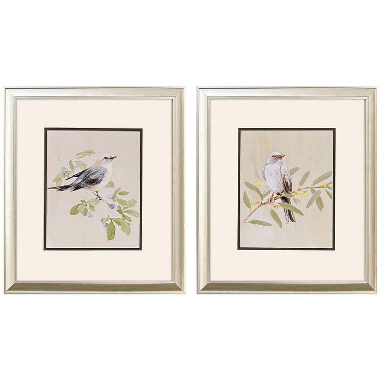Image 1 Botanical Birds 15"W x 17"H Transitional Framed Art Set of 2