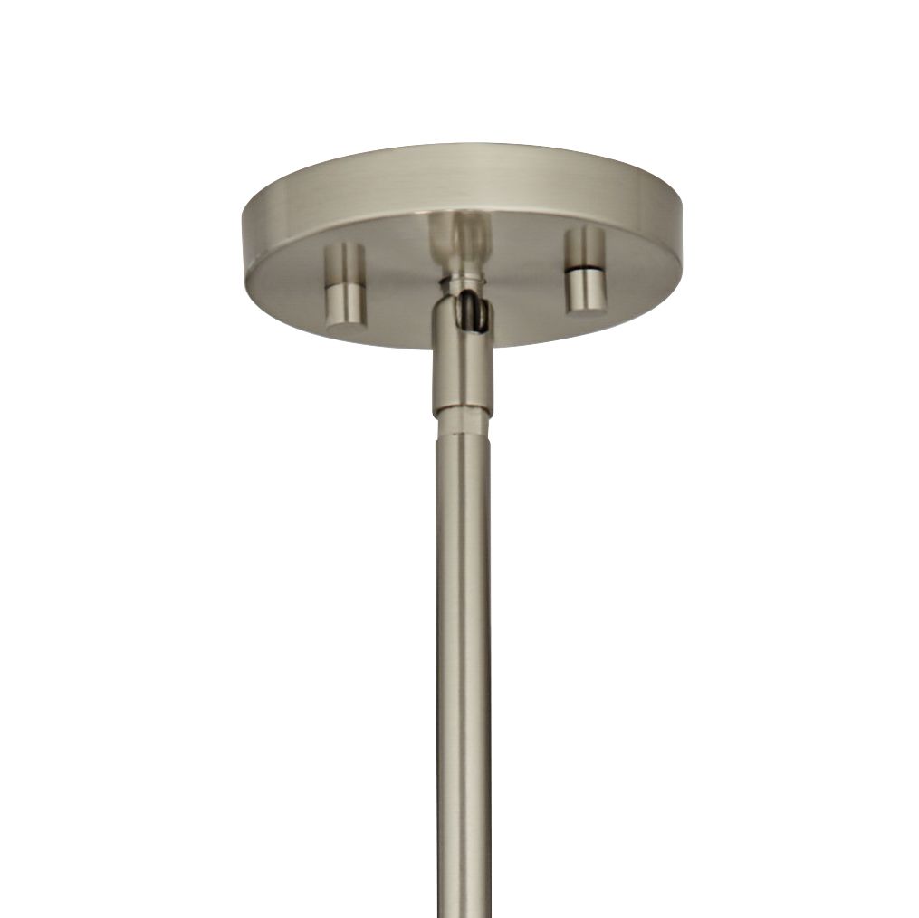 Image 3 Botanical Carey 24" Brushed Nickel 4-Light Chandelier more views