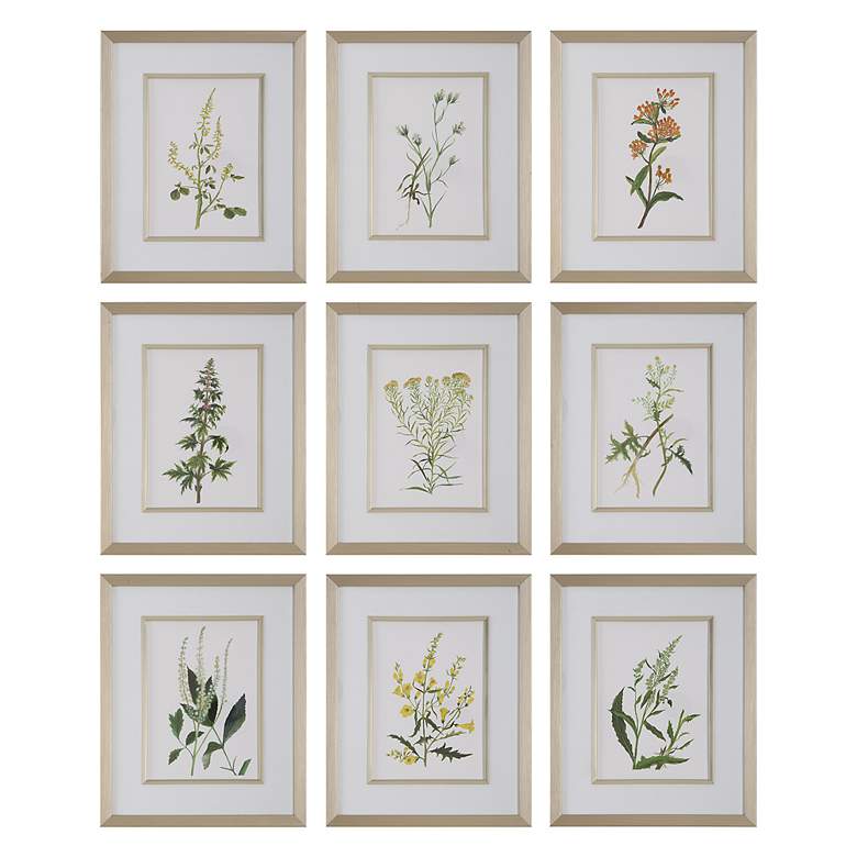 Image 2 Botanical Flowers 9-Piece Framed Wall Art Set