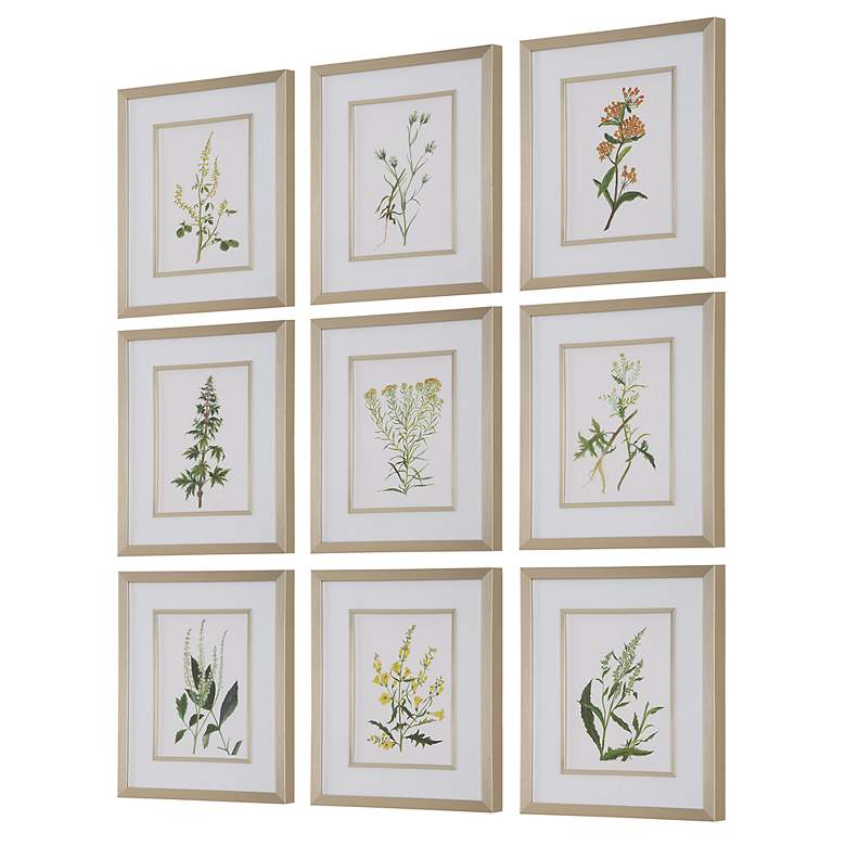Image 4 Botanical Flowers 9-Piece Framed Wall Art Set more views