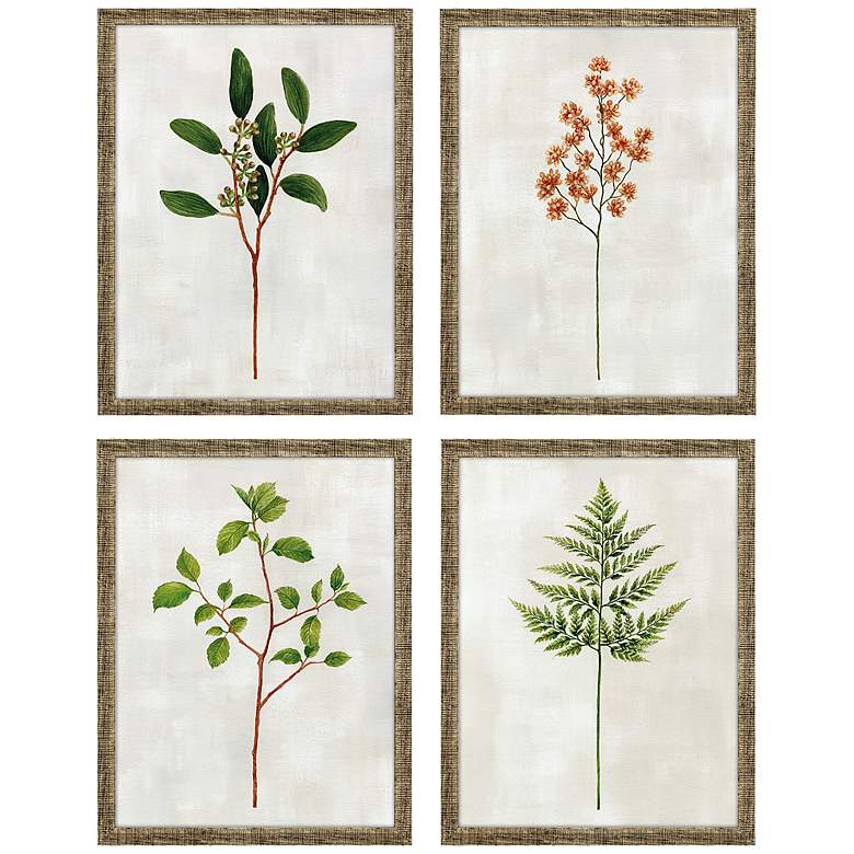 Image 3 Botanical I 17" High 4-Piece Giclee Framed Wall Art Set
