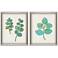 Botanical I 18"W x 22"H Framed Art Set of 2