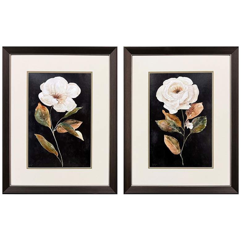 Image 1 Botanical on Black 21"W x 27"H Transitional Framed Art Set of 2