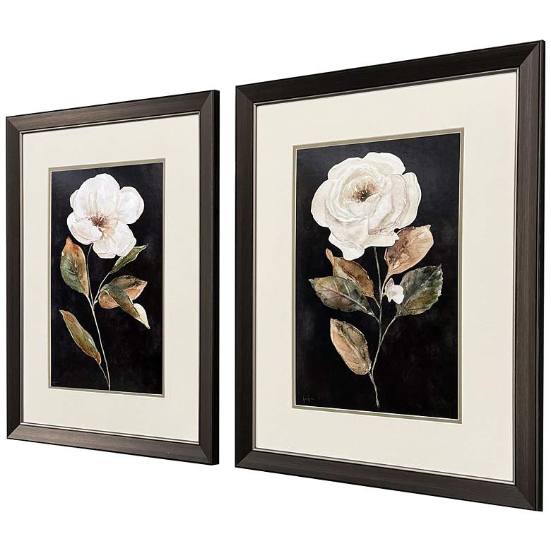 Image 2 Botanical on Black 21"W x 27"H Transitional Framed Art Set of 2 more views