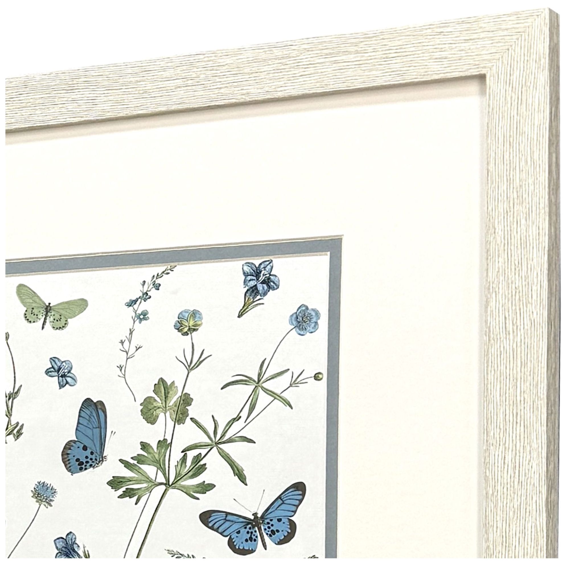 Image 4 Botanical Page 14"W x 16"H Framed Art - Set of 2 more views