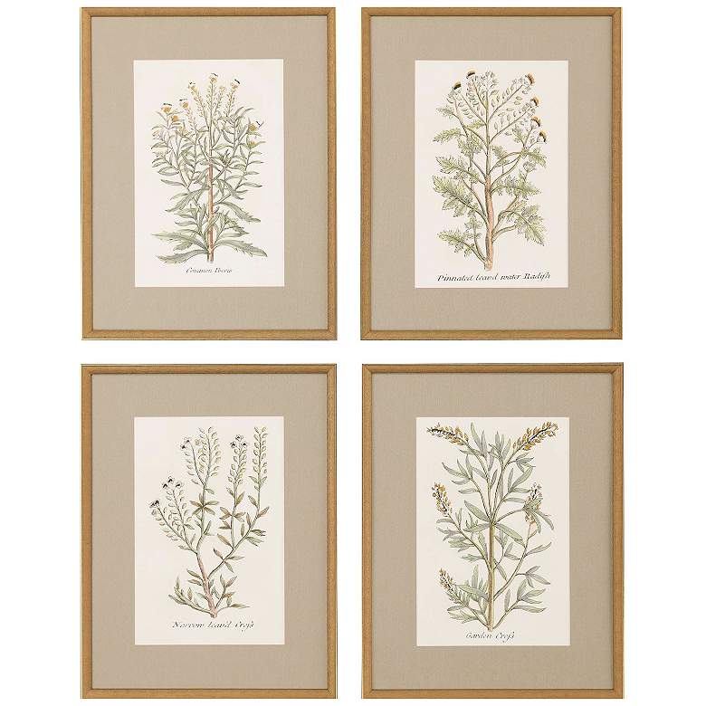 Image 1 Botanical Plants 20"W x 26"H Framed Art Set of 4
