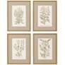 Botanical Plants 20"W x 26"H Framed Art Set of 4