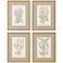 Botanical Plants 20"W x 26"H Framed Art Set of 4