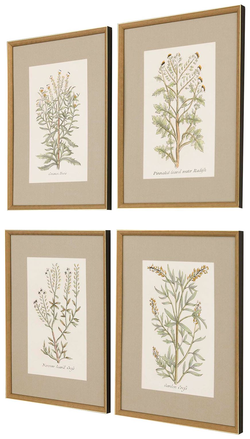 Image 2 Botanical Plants 20"W x 26"H Framed Art Set of 4 more views