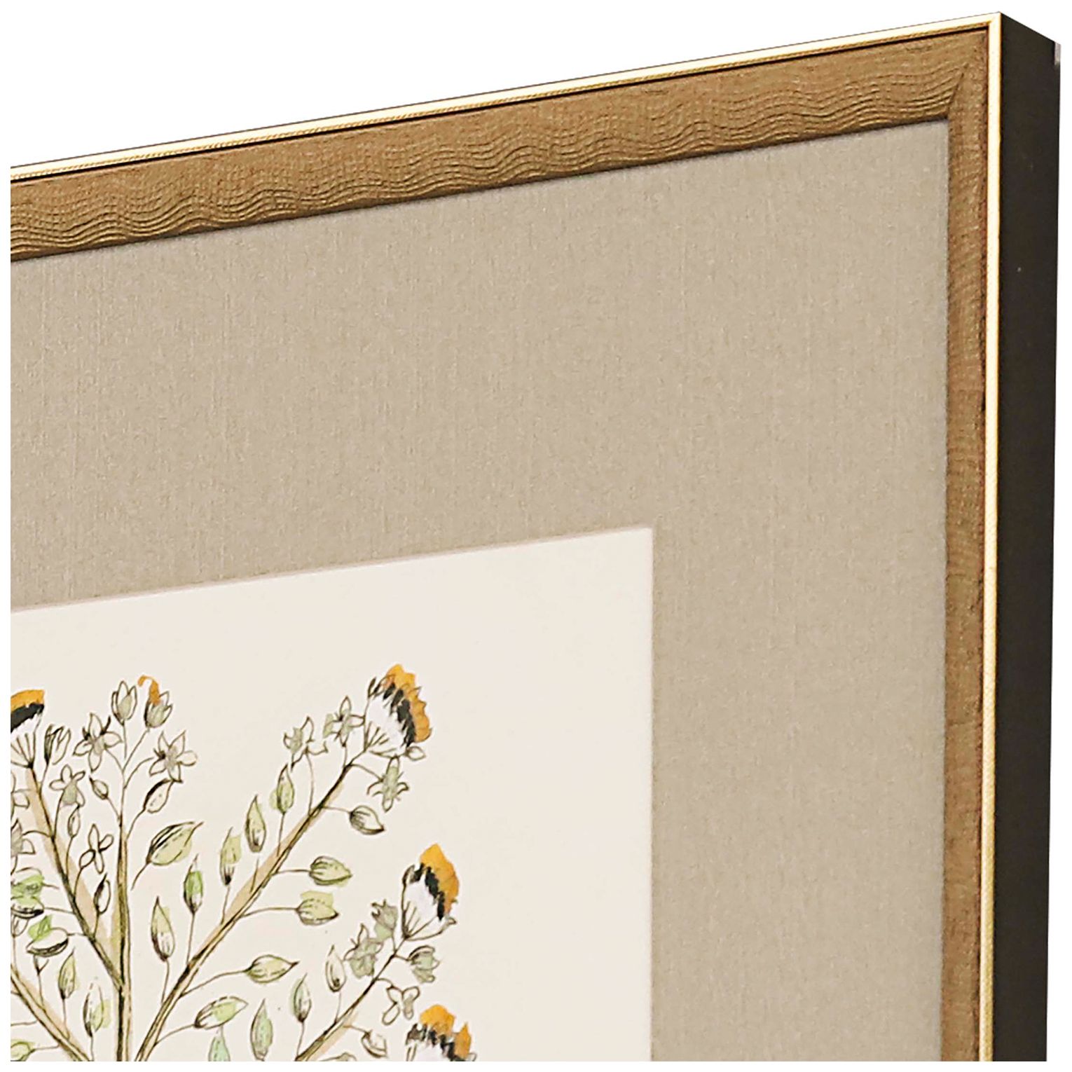 Image 3 Botanical Plants 20"W x 26"H Framed Art Set of 4 more views