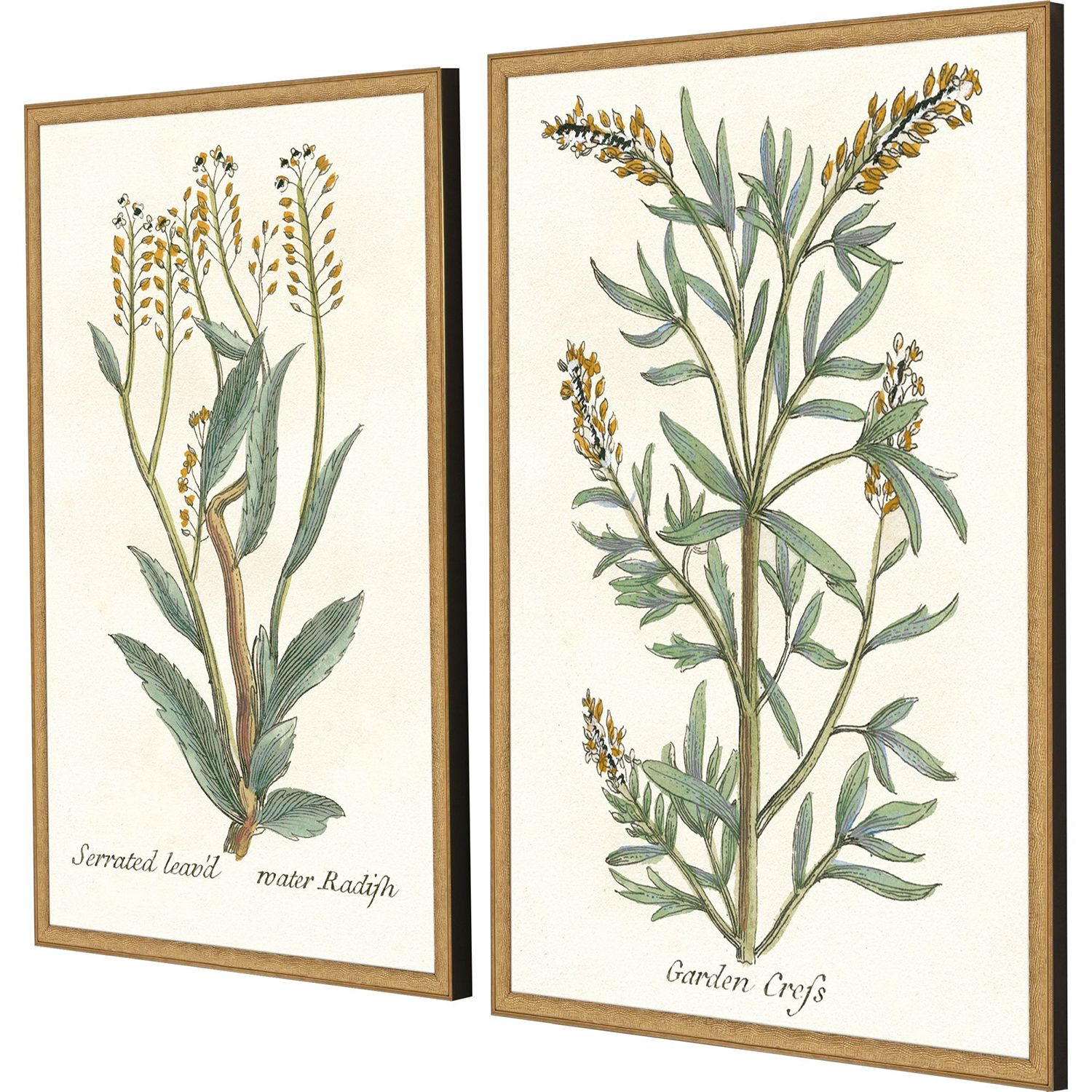Image 3 Botanical Plants III 21"W x 31"H Framed Art Set of 2 more views
