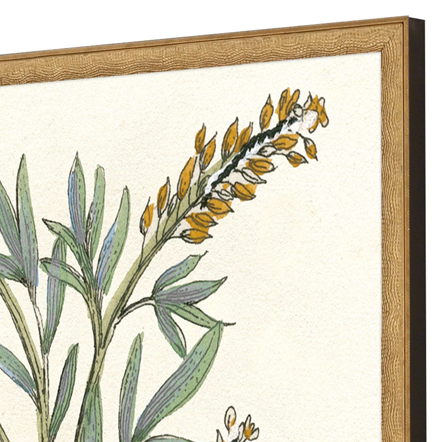 Image 4 Botanical Plants III 21"W x 31"H Framed Art Set of 2 more views