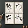 1_Botanical Silhouettes 14"W x 18"H Framed Art - Set of 4