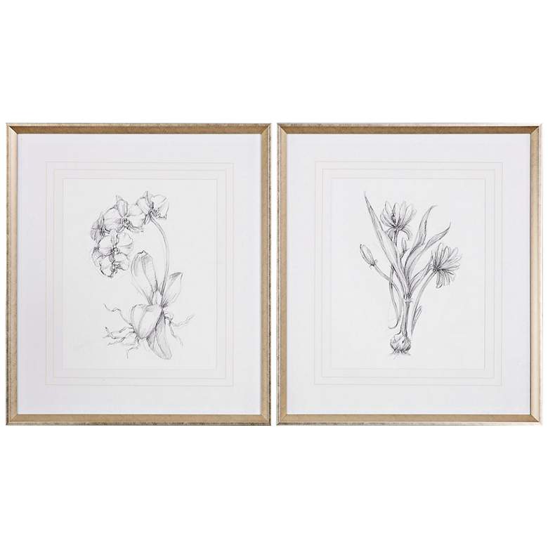 Botanical Sketches 2-Piece 32&quot; High Framed Wall Art Set