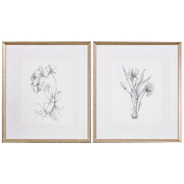 Image 2 Botanical Sketches 2-Piece 32 inch High Framed Wall Art Set