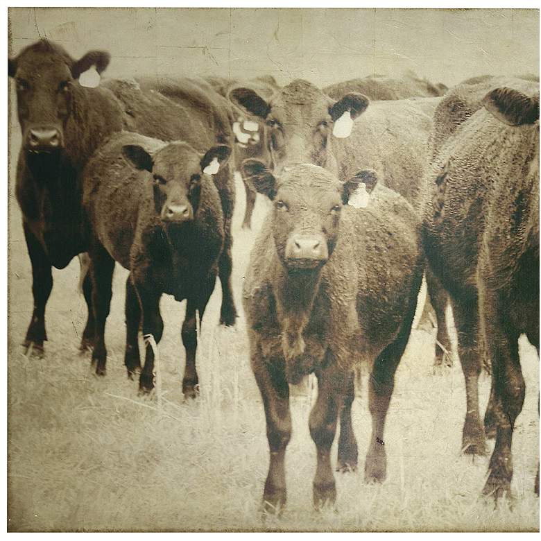Image 2 Bovine 76 inch Wide Rectangular Canvas Wall Art more views
