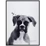 2_Boxer 24"x18" Rectangular Printed Glass Framed Wall Art