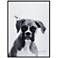 Boxer 24"x18" Rectangular Printed Glass Framed Wall Art