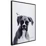 5_Boxer 24"x18" Rectangular Printed Glass Framed Wall Art more views