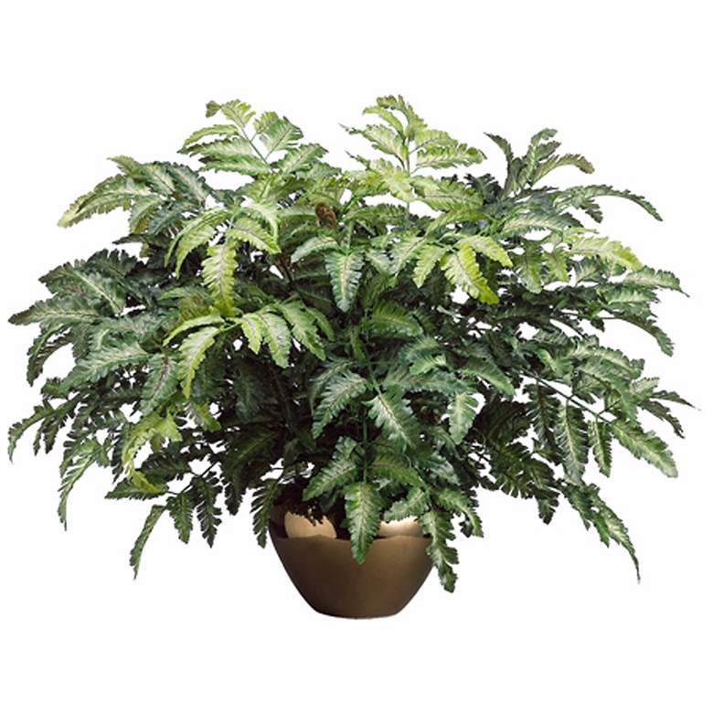 Image 1 Bracken Fern in Ceramic Pot Faux Plant