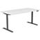 Braeden 60"W White Gray Adjustable Stand-Up Desk with USB
