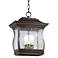 Brentwood Park Collection 14 1/2" High Outdoor Hanging Light